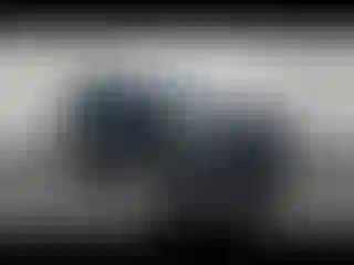Vehicle Image- 2020 Ford Edge