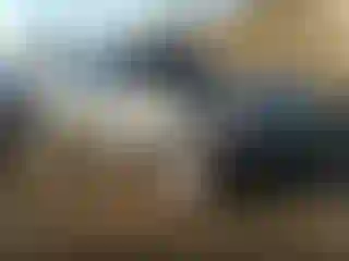 Vehicle Image- 2020 Ford Edge
