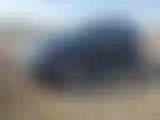 Vehicle Image- 2018 Ford Edge