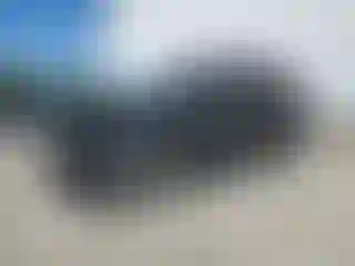 Vehicle Image- 2016 Ford Edge