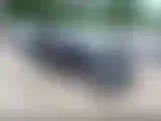 Vehicle Image- 2020 Ford Edge