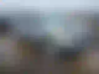 Vehicle Image- 2020 Ford Edge