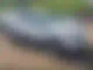 Vehicle Image- 2022 Ford Edge