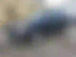 Vehicle Image- 2022 Ford Edge