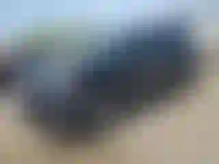 Vehicle Image- 2021 Ford Edge