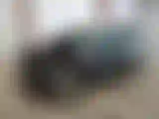 Vehicle Image- 2024 Ford Edge