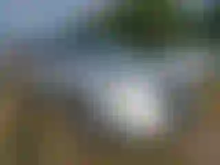 Vehicle Image- 2017 Ford Edge