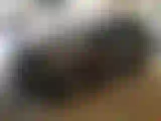 Vehicle Image- 2022 Ford Edge
