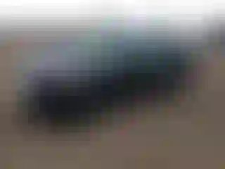 Vehicle Image- 2023 Ford Edge