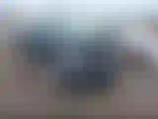 Vehicle Image- 2023 Ford Edge