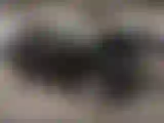 Vehicle Image- 2022 Ford Edge