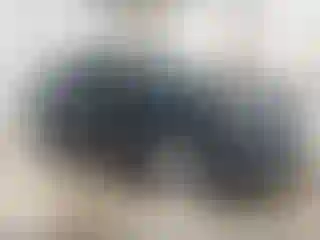 Vehicle Image- 2017 Ford Edge