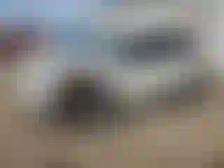 Vehicle Image- 2020 Ford Edge