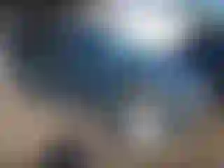 Vehicle Image- 2016 Ford Edge