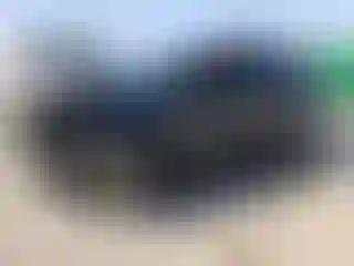 Vehicle Image- 2019 Ford Edge