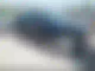 Vehicle Image- 2022 Ford Edge