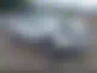 Vehicle Image- 2024 Ford Edge