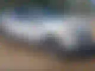 Vehicle Image- 2022 Ford Edge