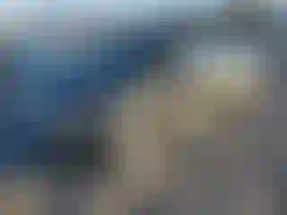 Vehicle Image- 2015 Ford Edge