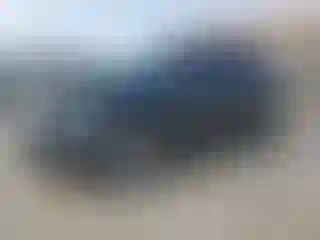 Vehicle Image- 2015 Ford Edge