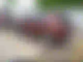 IMPORTOWO.pl