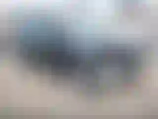 Vehicle Image- 2015 Ford Edge