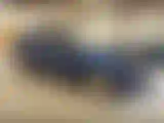 Vehicle Image- 2015 Ford Edge