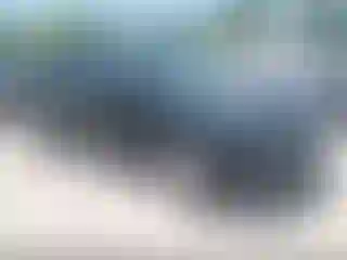 Vehicle Image- 2015 Ford Edge
