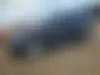 Vehicle Image- 2015 Ford Edge