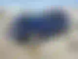 Vehicle Image- 2015 Ford Edge
