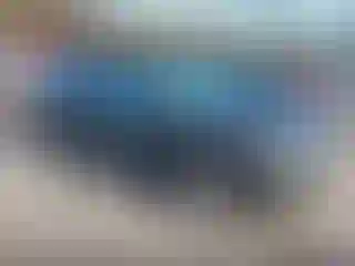 Vehicle Image- 2015 Ford Edge