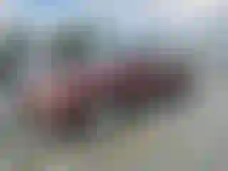 Vehicle Image- 2015 Ford Edge