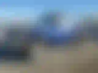 Vehicle Image- 1997 Ford F-150