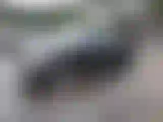 Vehicle Image- 1997 Ford F-150