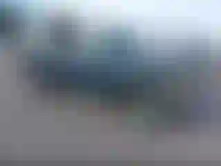 Vehicle Image- 1996 Ford F-250