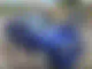 Vehicle Image- 2003 Ford F-150