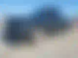 Vehicle Image- 2003 Ford F-150