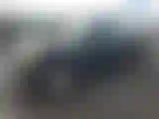 Vehicle Image- 2003 Ford F-150