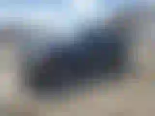 Vehicle Image- 2004 Ford F-150
