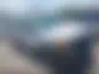 Vehicle Image- 2004 Ford F-150