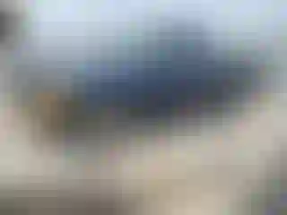 Vehicle Image- 2004 Ford F-150