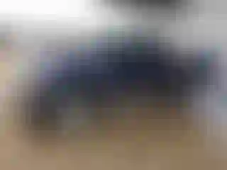 Vehicle Image- 2001 Ford F-150