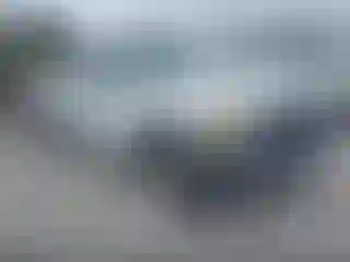 Vehicle Image- 2003 Ford F-150