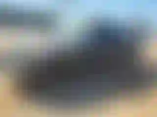 Vehicle Image- 2000 Ford F-150