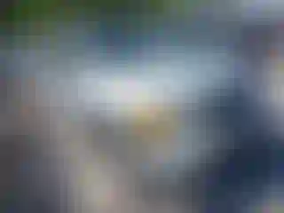 Vehicle Image- 2004 Ford F-150