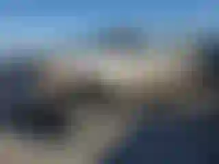 Vehicle Image- 2004 Ford F-150