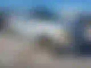 Vehicle Image- 2004 Ford F-150