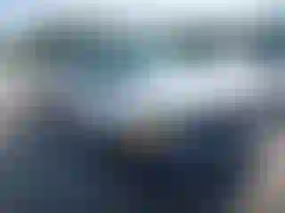 Vehicle Image- 2004 Ford F-150