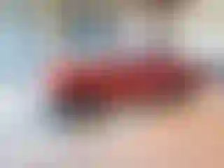 Vehicle Image- 2003 Ford F-150