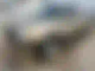 Vehicle Image- 2000 Ford F-150
